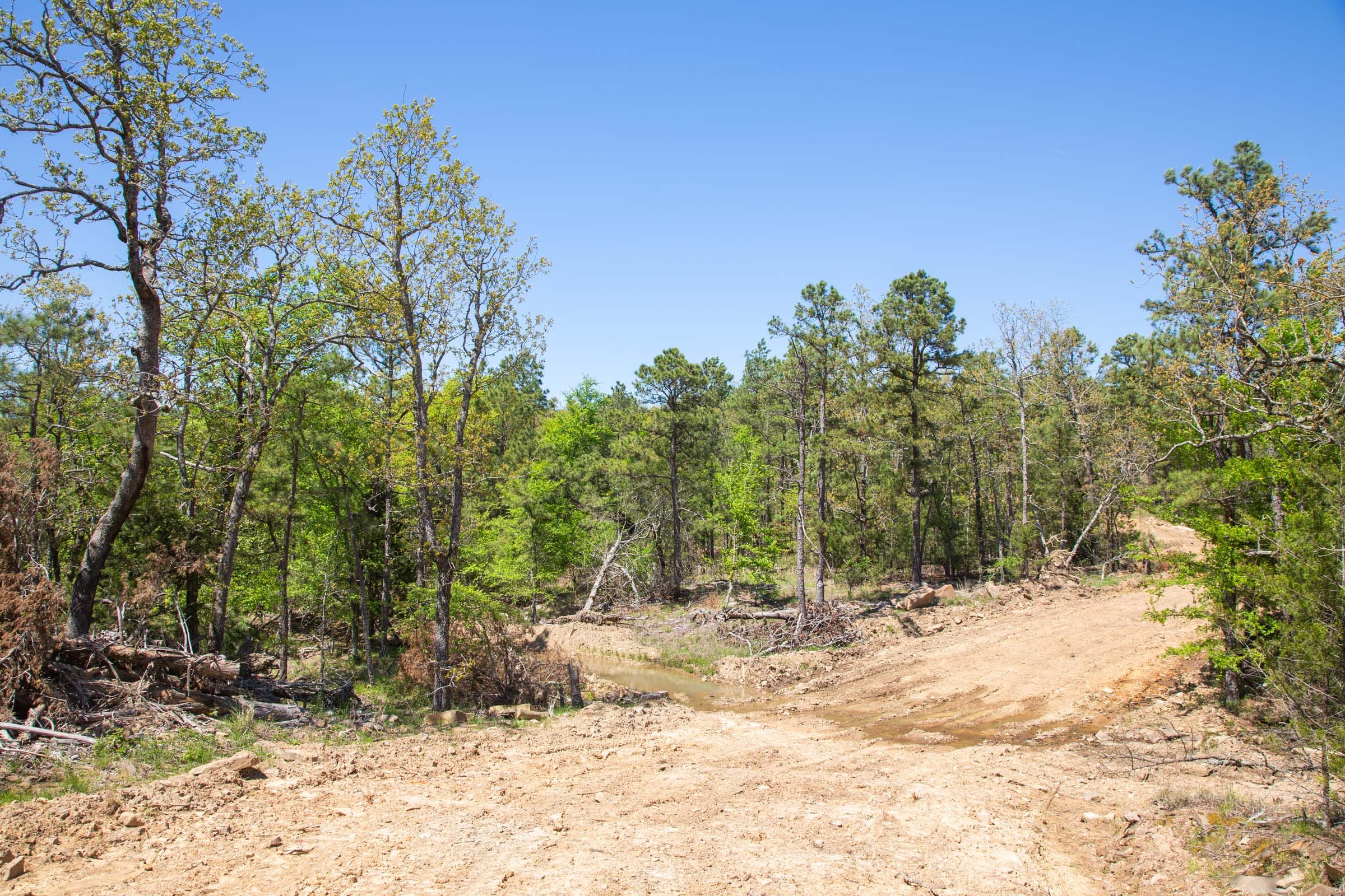 Eagle’s Nest Tract 14 photo 14