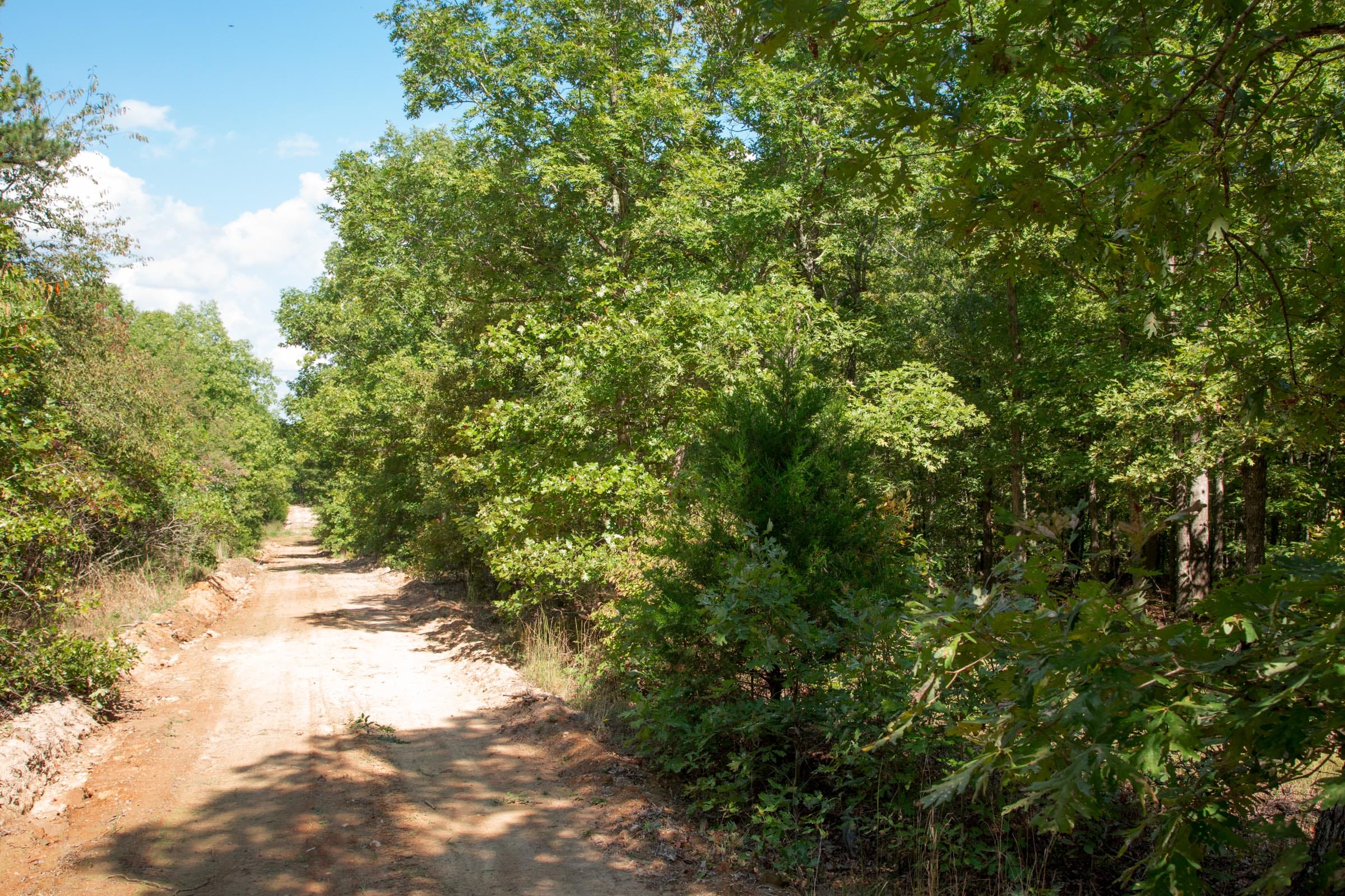 Wagon Wheel Ranch Tract 8 photo 4