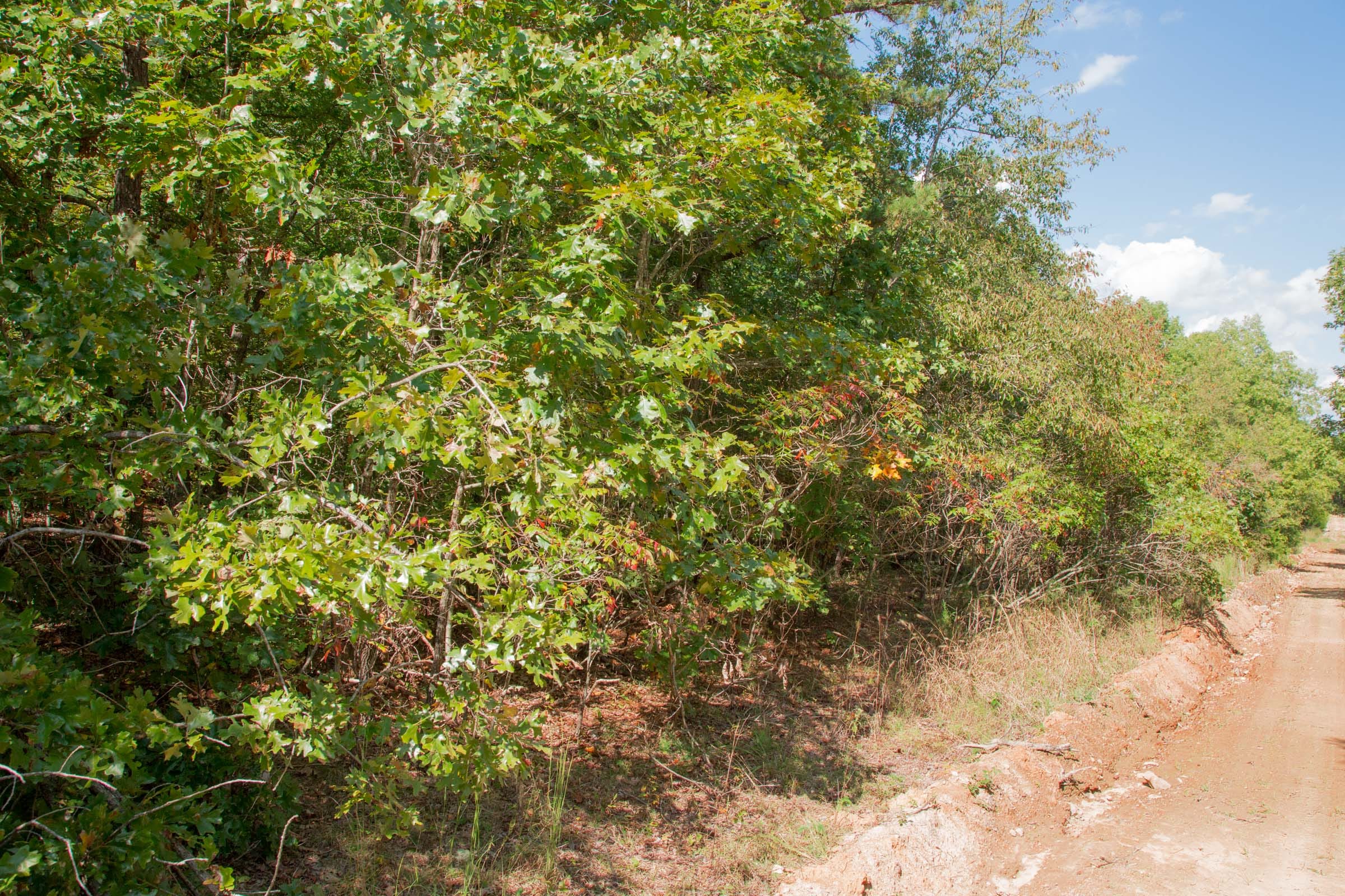 Wagon Wheel Ranch Tract 8 photo 9