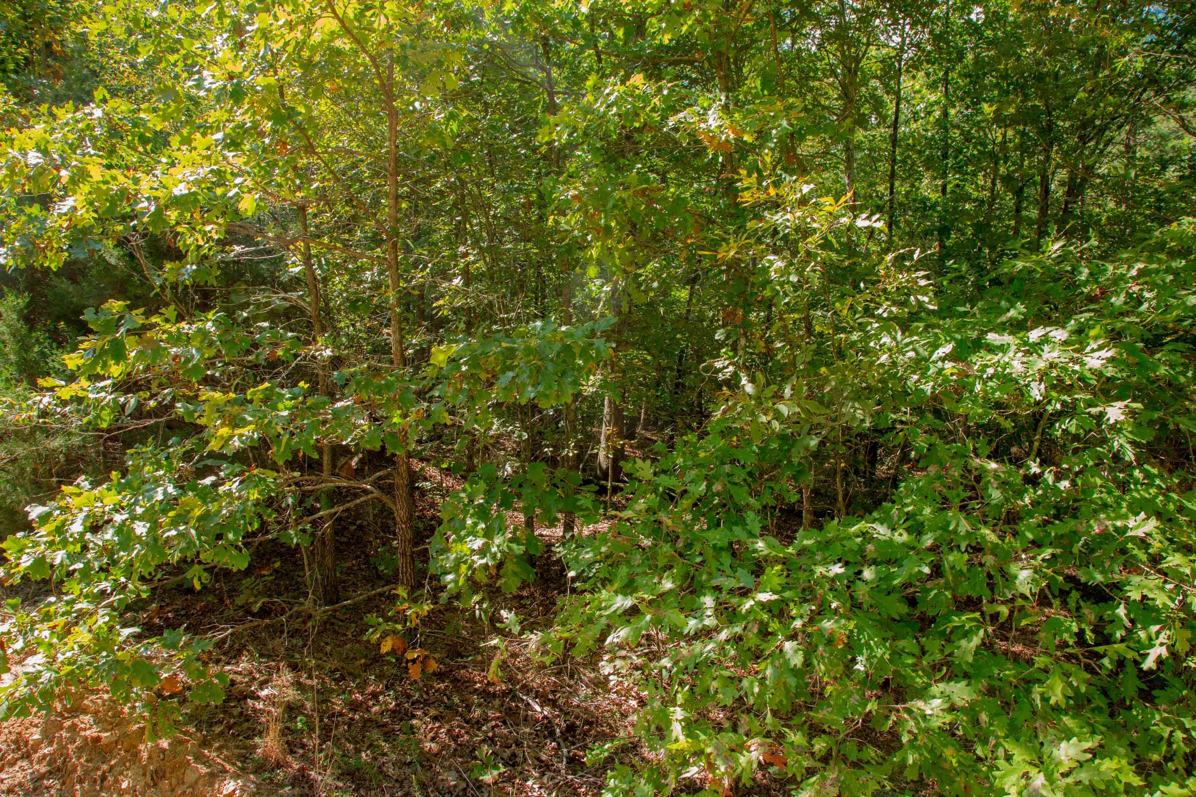 Wagon Wheel Ranch Tract 8 photo 3