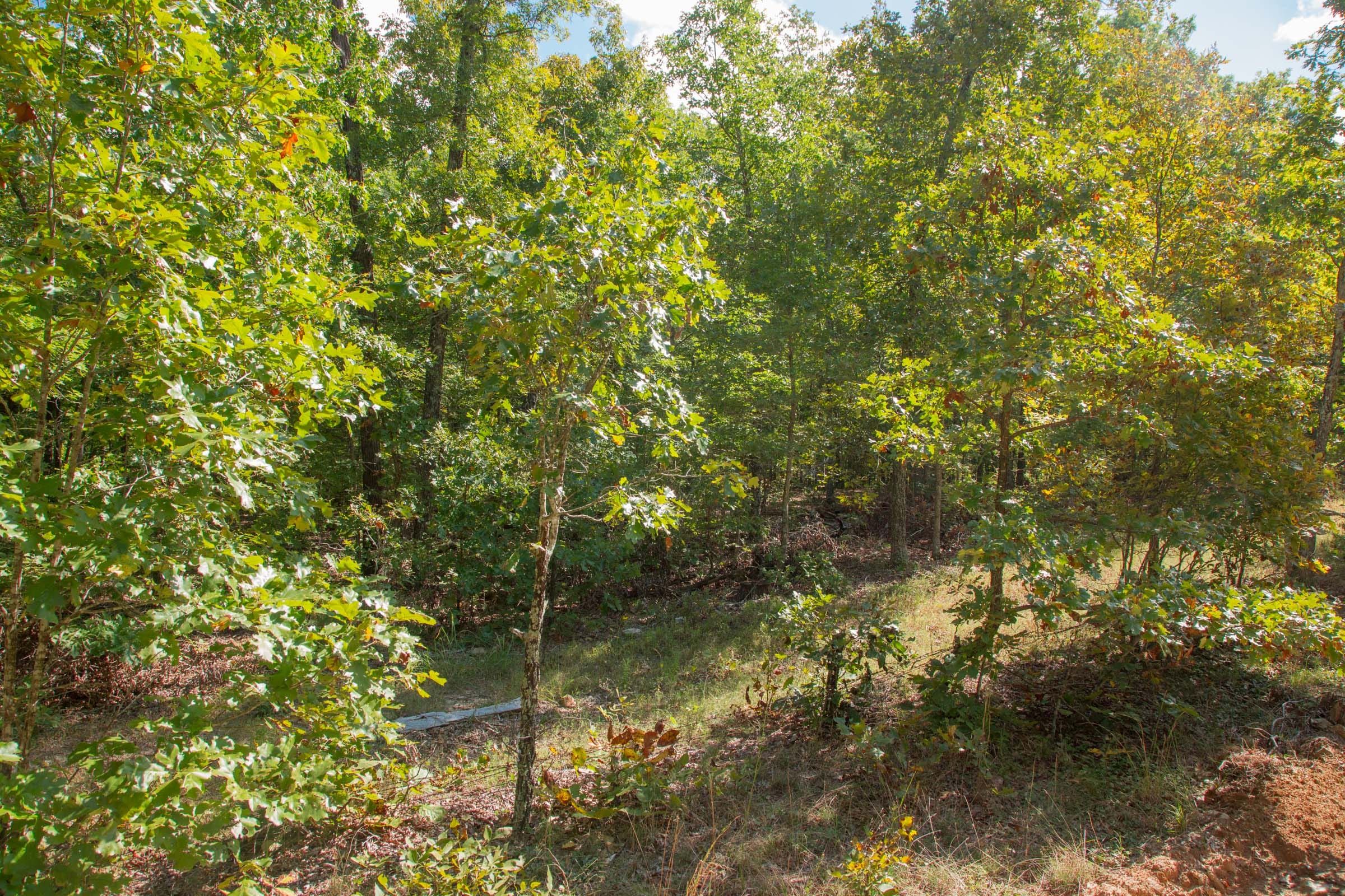 Wagon Wheel Ranch Tract 8 photo 7