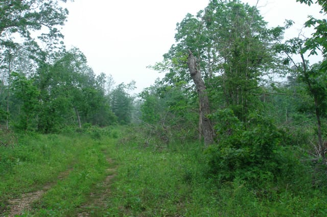 Deer Valley Tract 19 photo 4