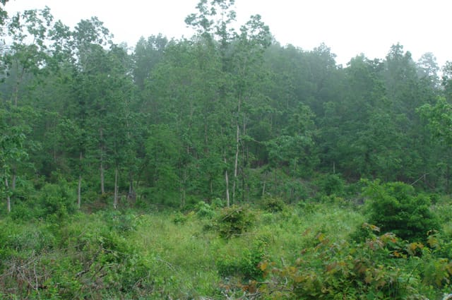 Deer Valley Tract 19 photo 7