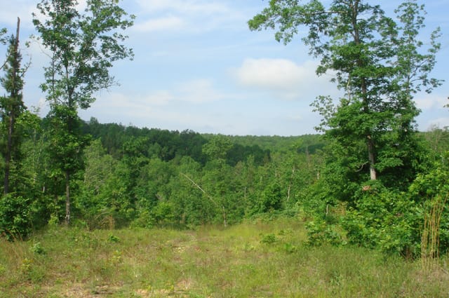 Deer Valley Tract 19 photo 10
