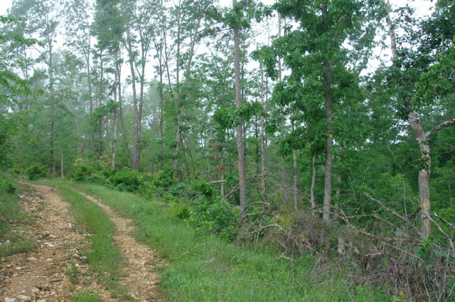 Deer Valley Tract 19 photo 13