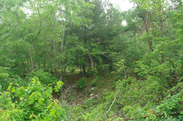 Deer Valley Tract 19 photo 14