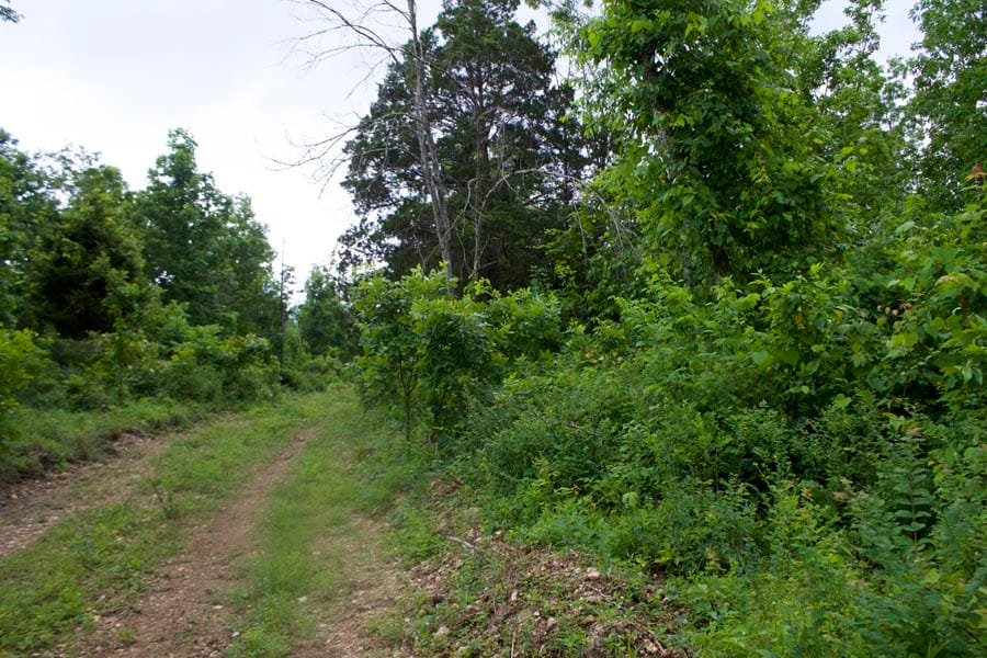 Thunder Mountain Ranch Tract 51 photo 2