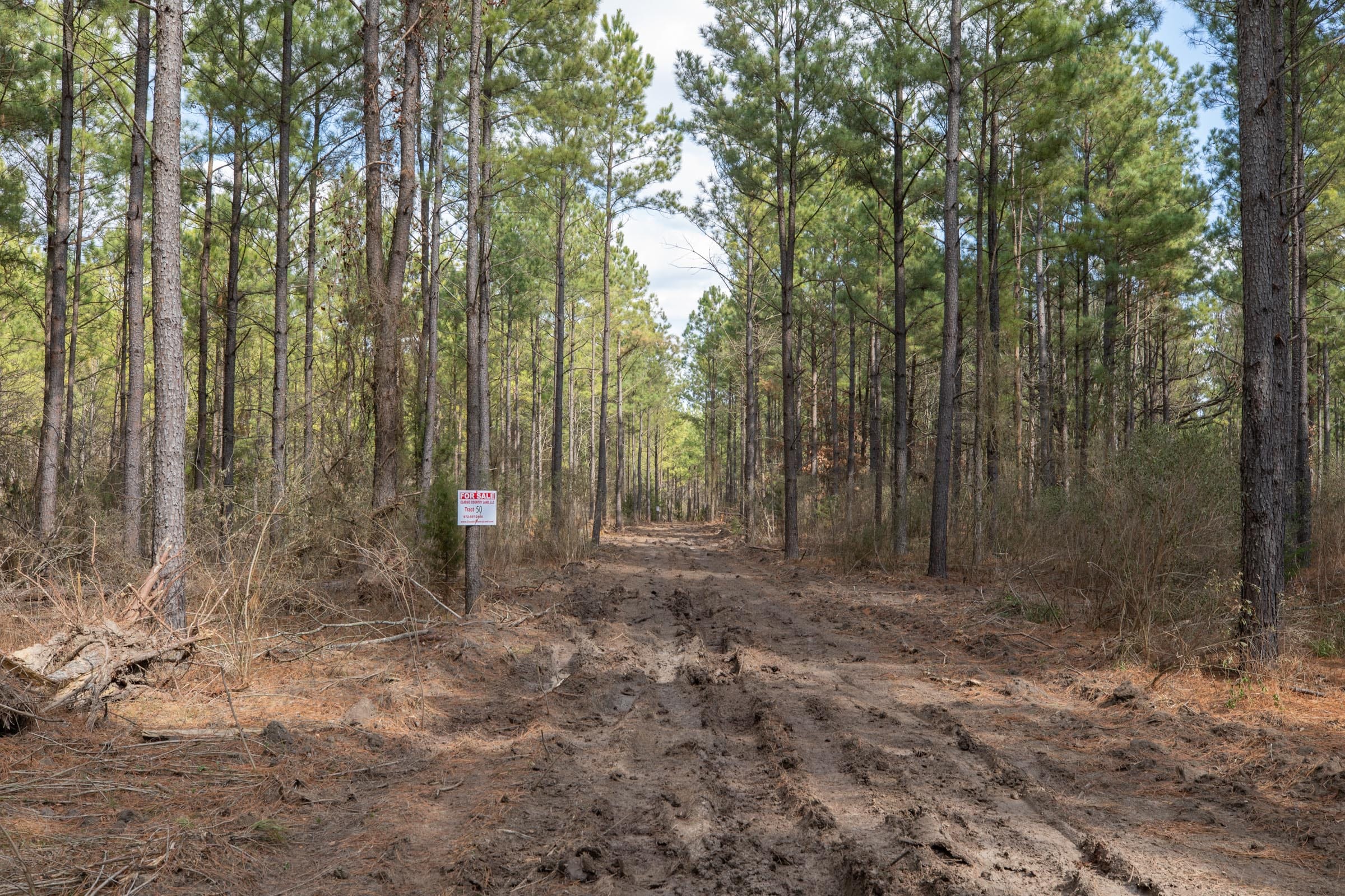 Wishing Star Ranch Tract 51 photo 3