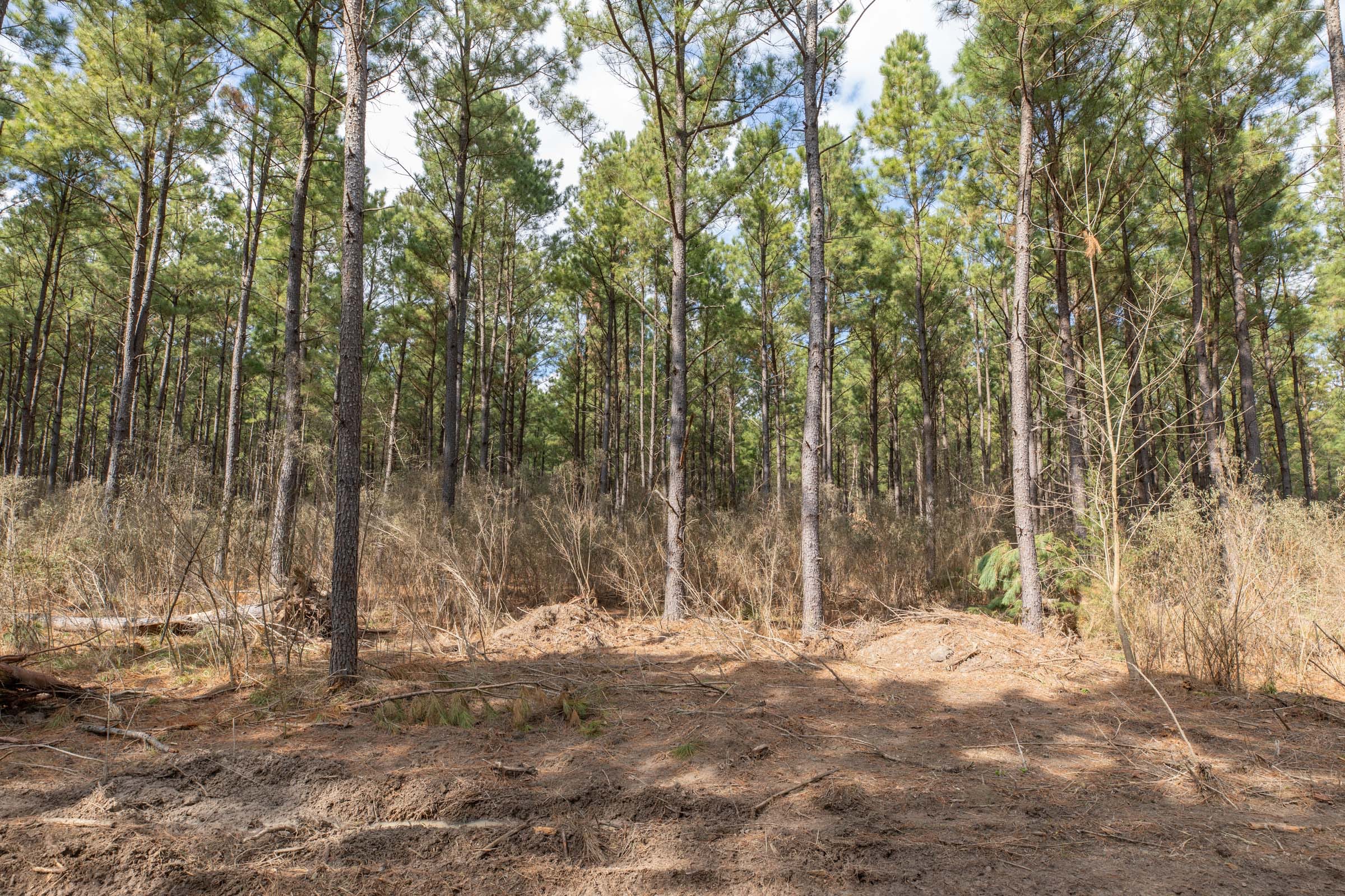 Wishing Star Ranch Tract 51 photo 4