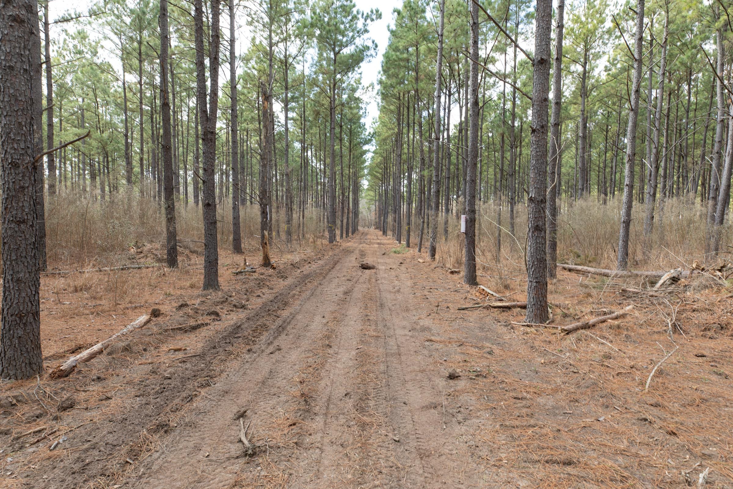 Wishing Star Ranch Tract 51 photo 1