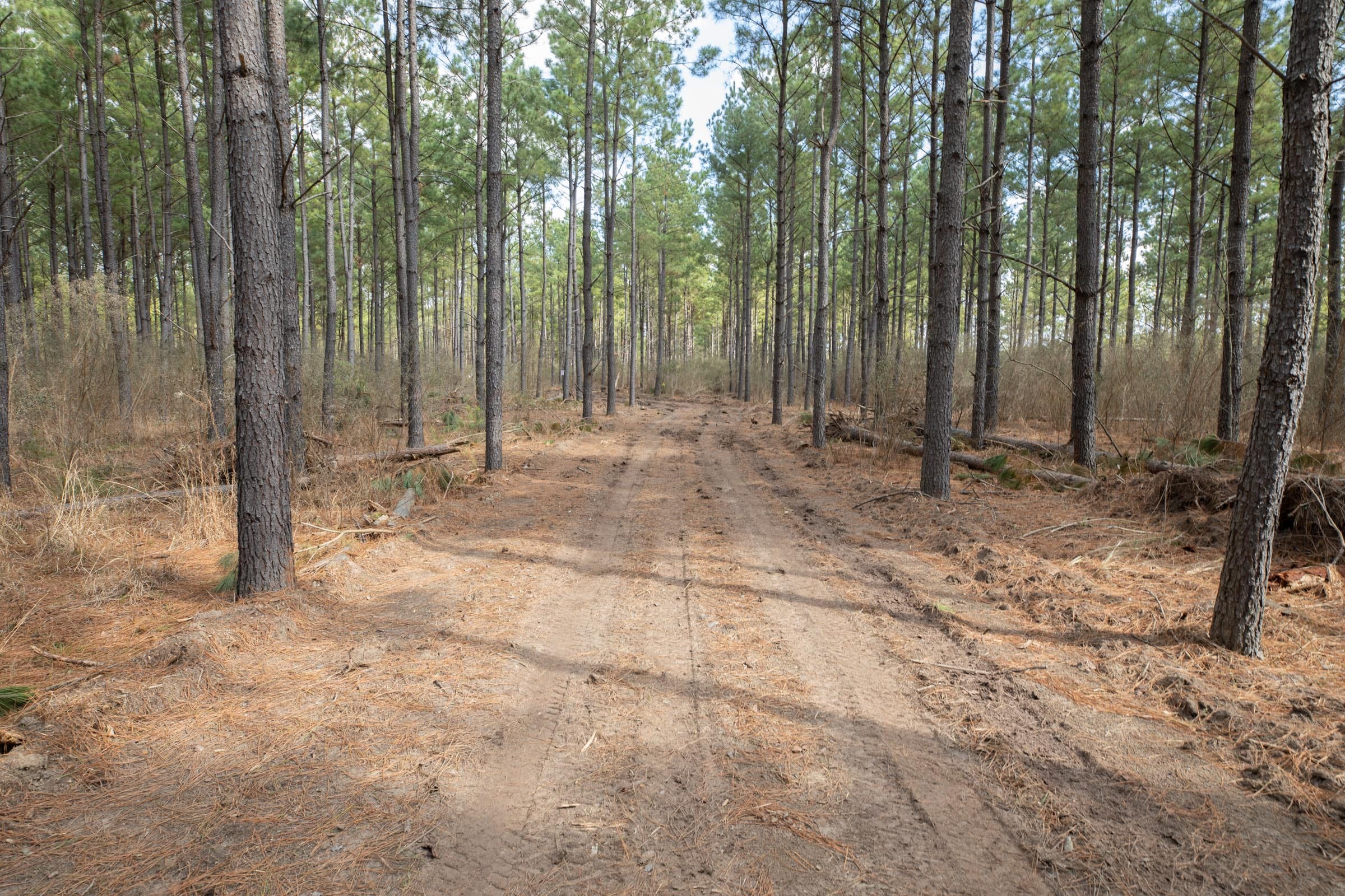 Wishing Star Ranch Tract 51 photo 9
