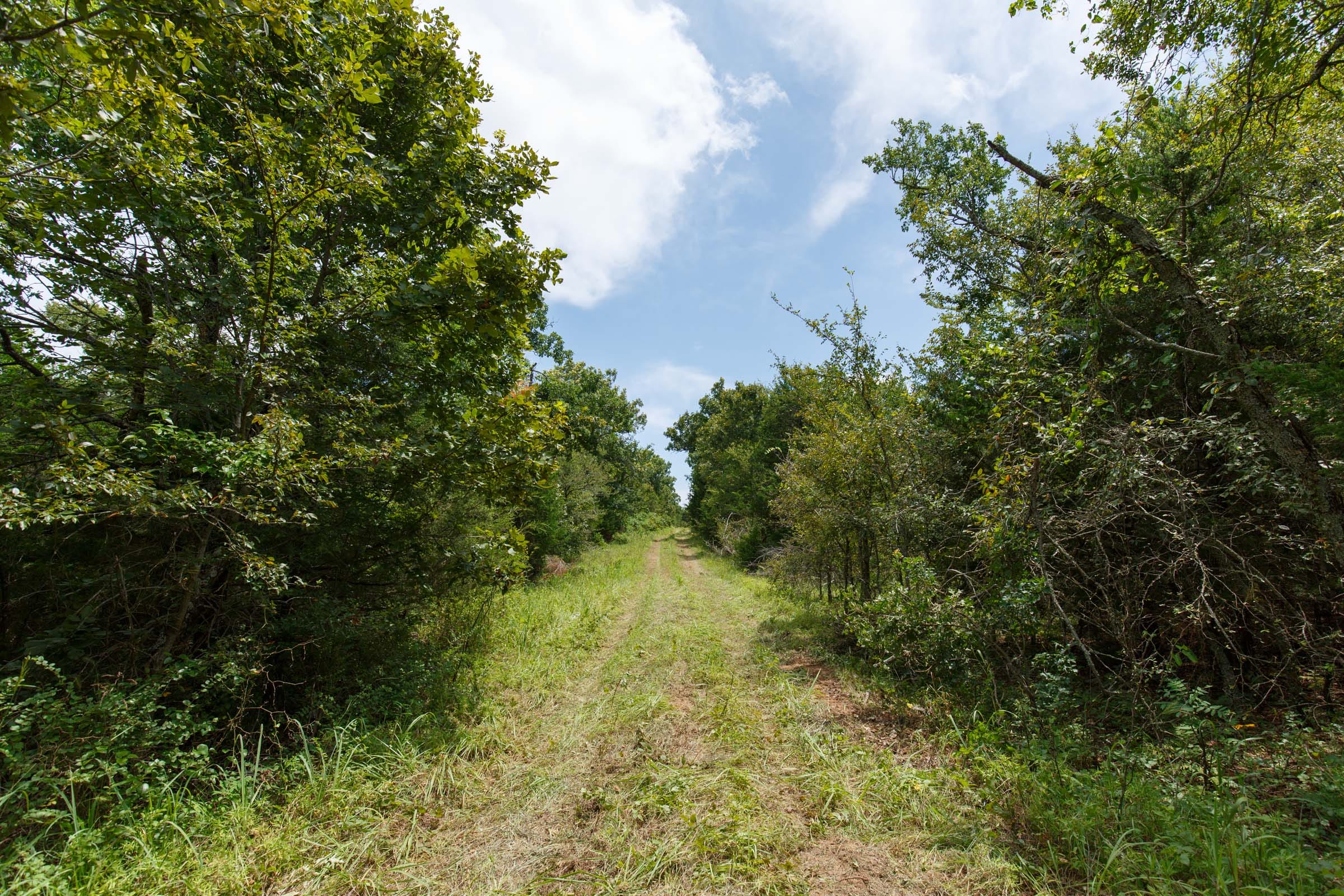 Timber Ridge Tract 37 photo 1