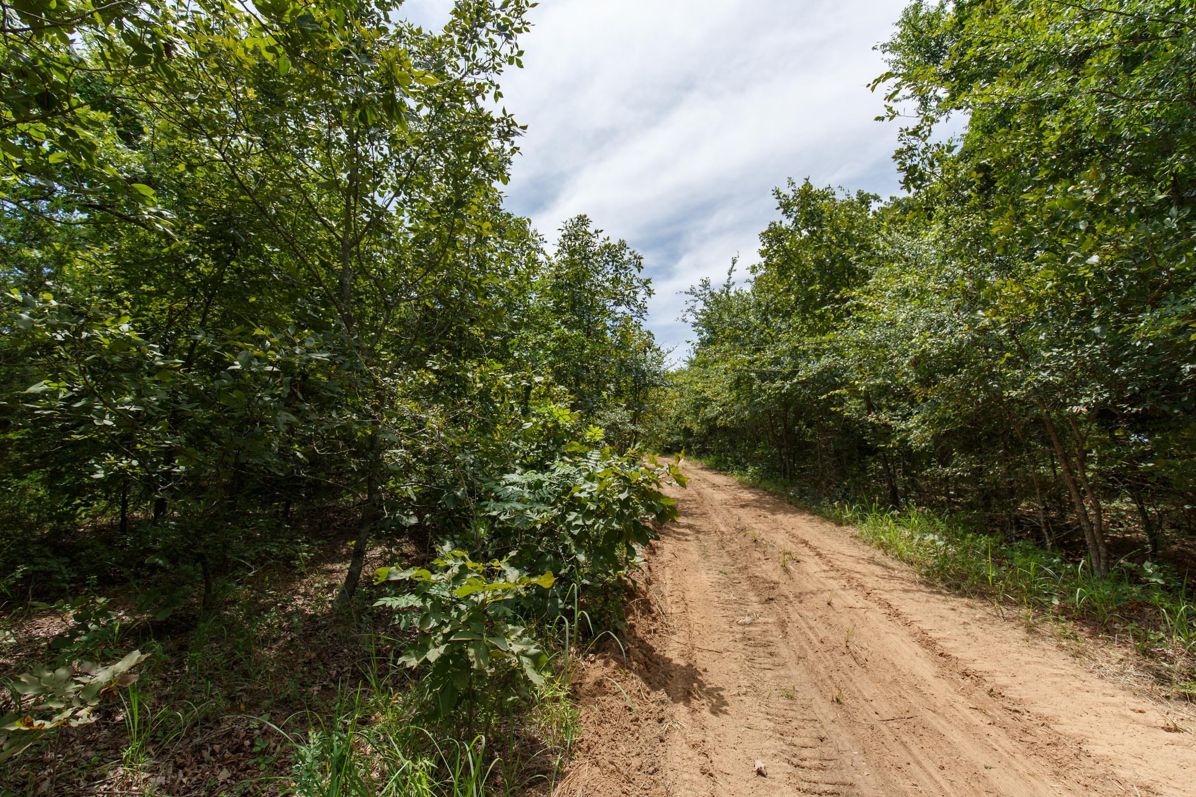 Timber Ridge Tract 37 photo 6
