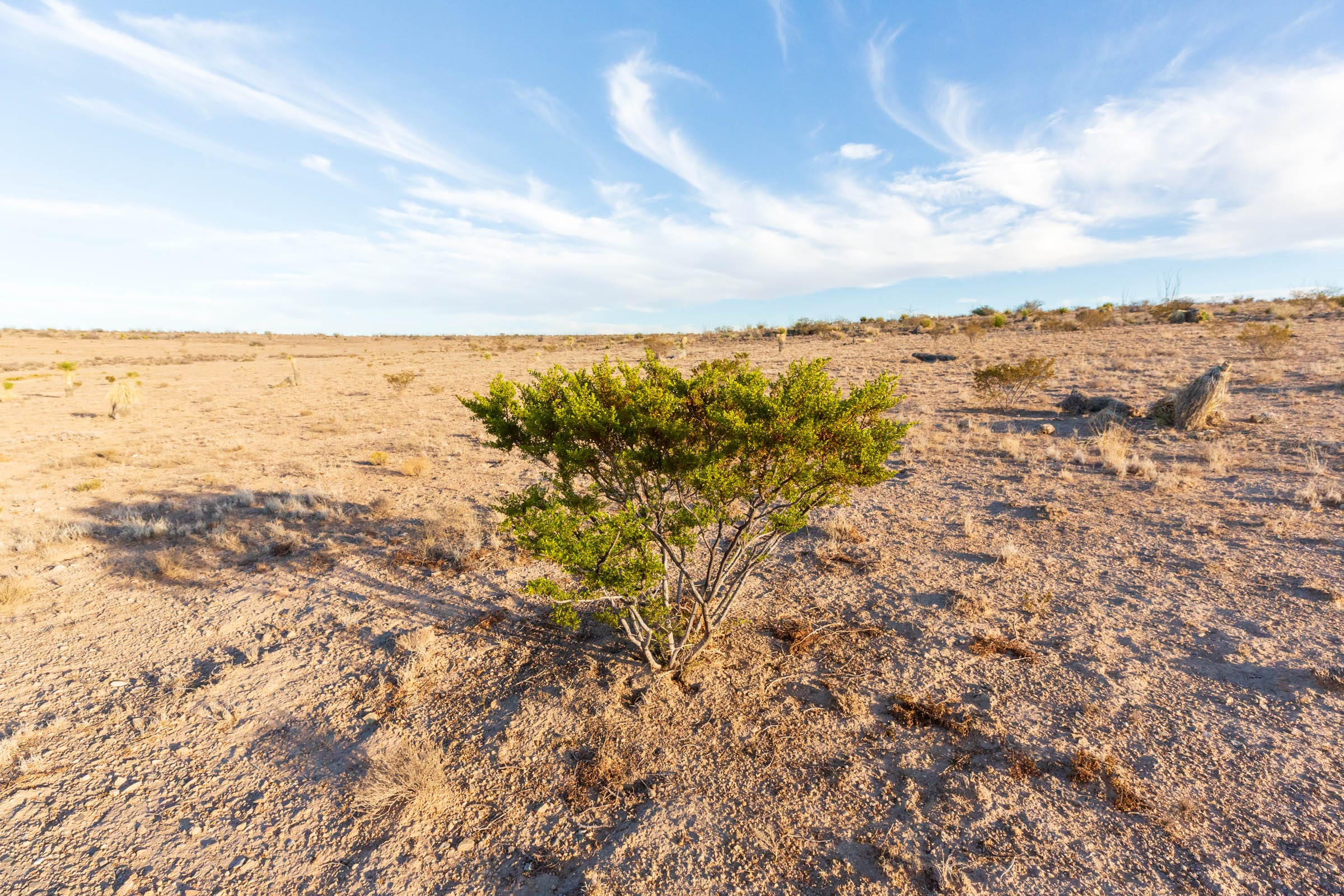 Sunrise Ranches Phase III Tract 113 photo 12