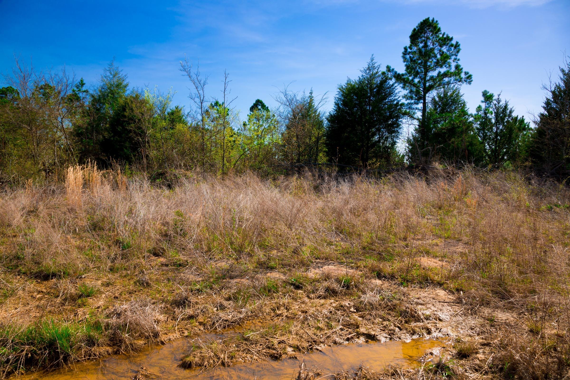Stone Creek Phase II Tract 230 photo 2