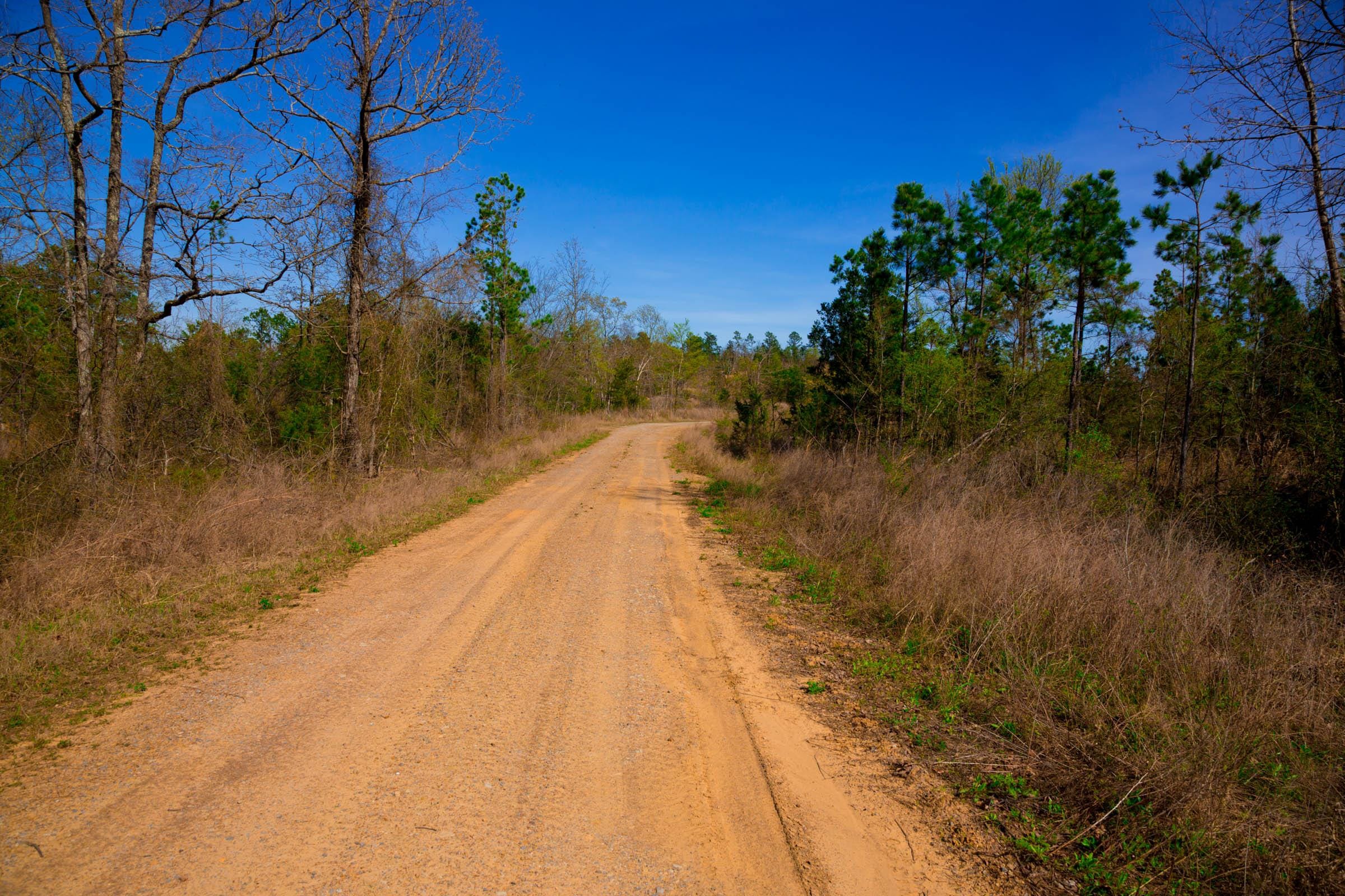 Stone Creek Phase II Tract 230 photo 3
