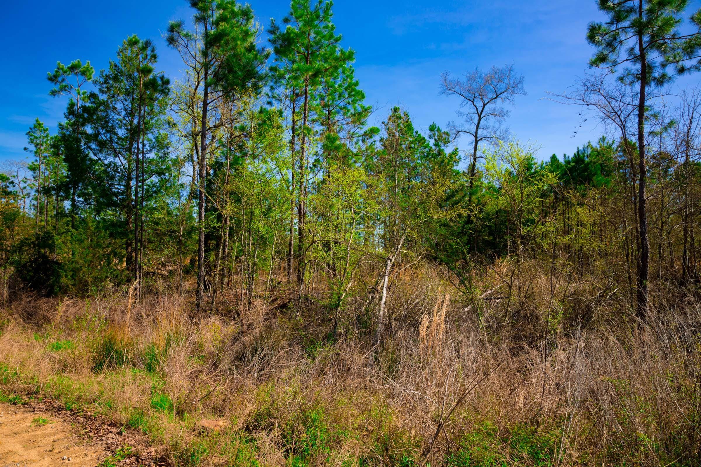 Stone Creek Phase II Tract 230 photo 4