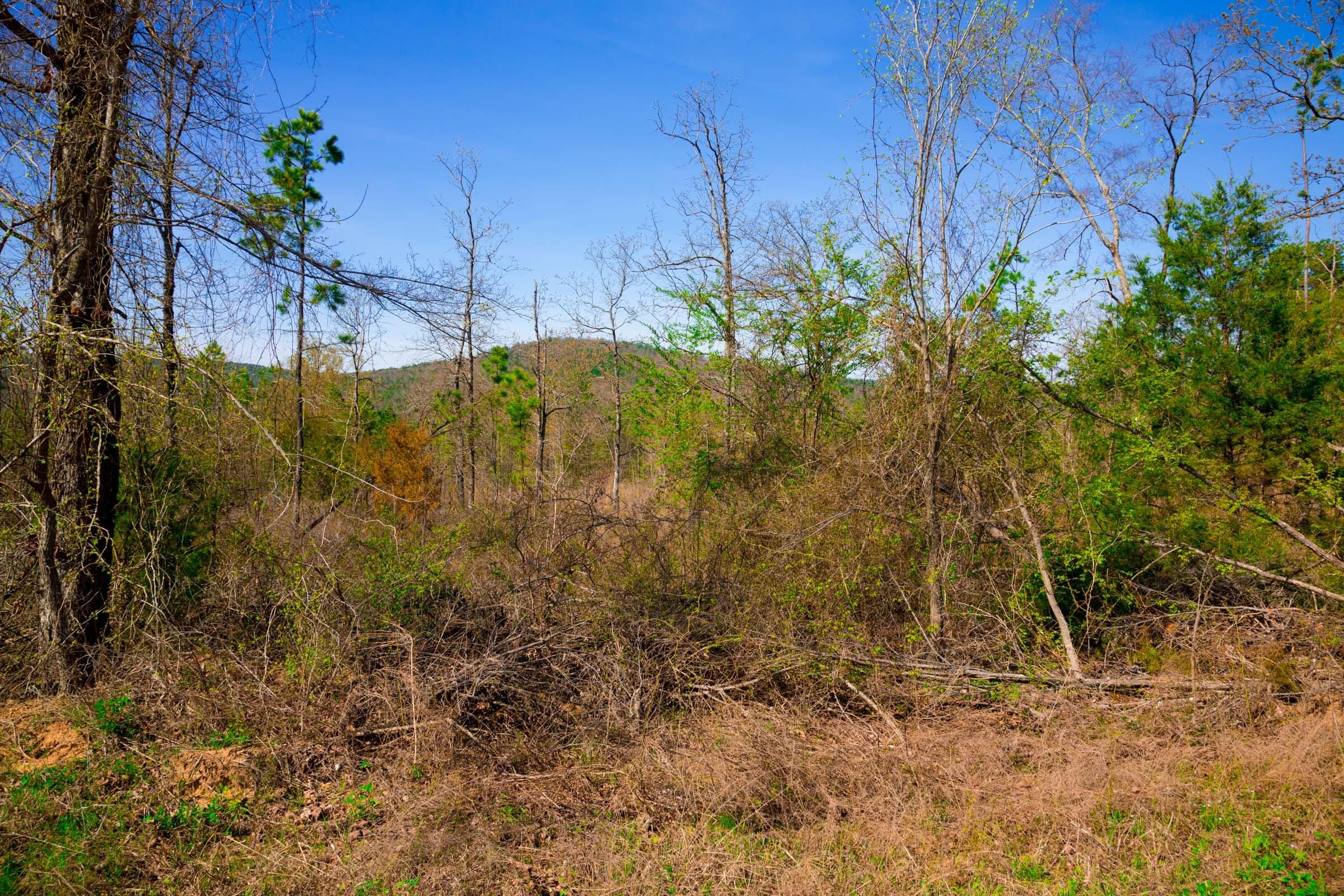 Stone Creek Phase II Tract 230 photo 5