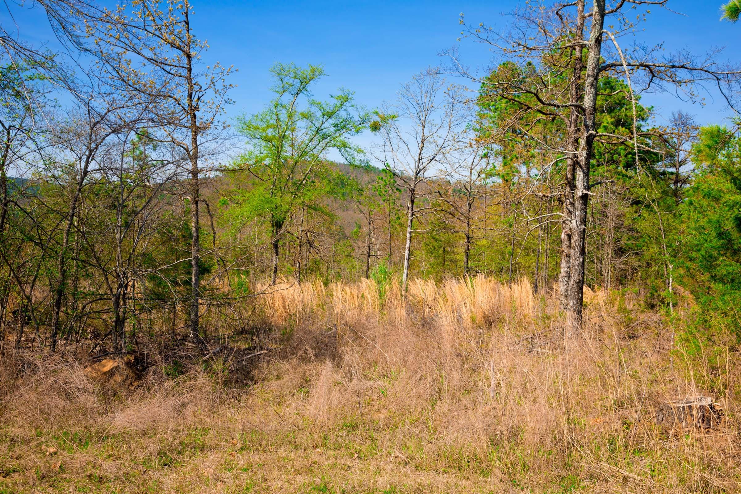 Stone Creek Phase II Tract 230 photo 9
