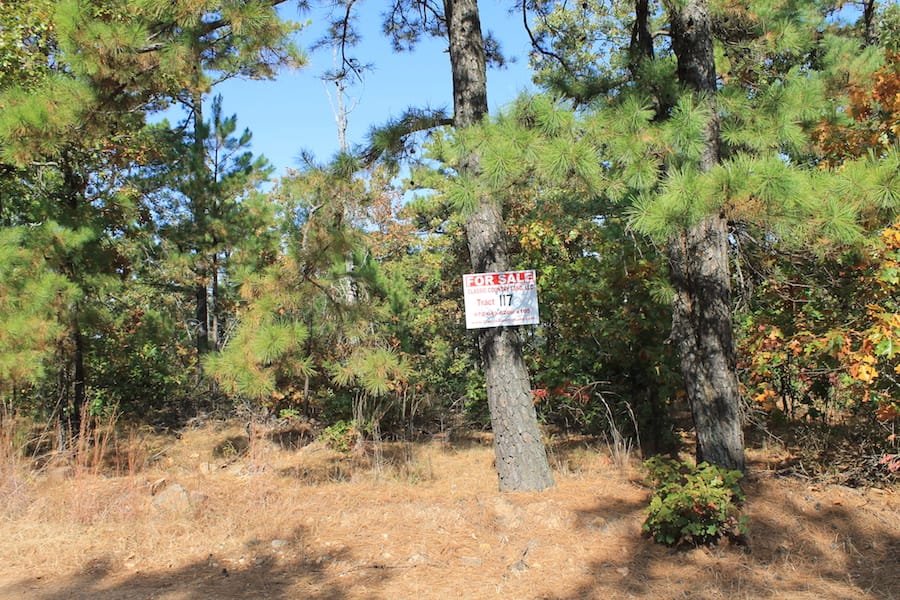 Indian Ridge – Phase III Tract 117 photo 1