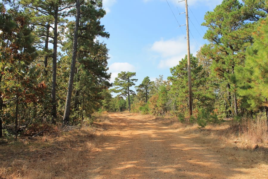 Indian Ridge – Phase III Tract 117 photo 2