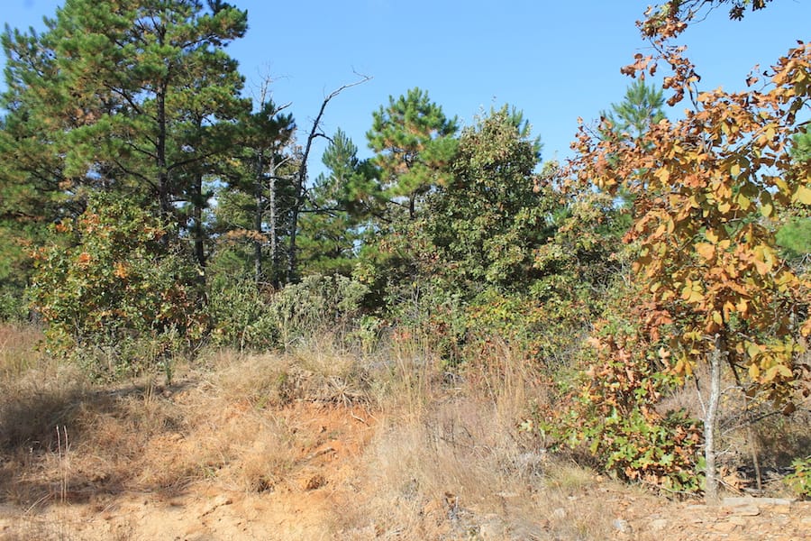 Indian Ridge – Phase III Tract 117 photo 4