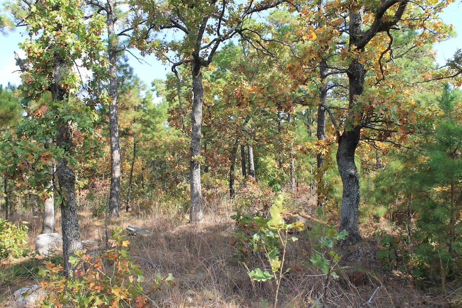 Indian Ridge – Phase III Tract 117 photo 6