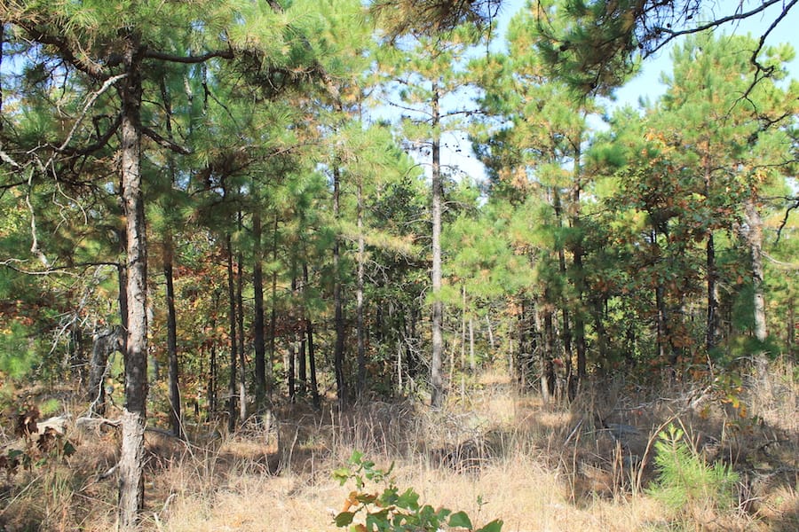 Indian Ridge – Phase III Tract 117 photo 8