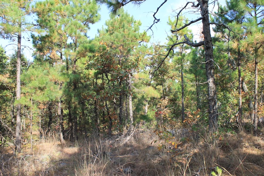 Indian Ridge – Phase III Tract 117 photo 9