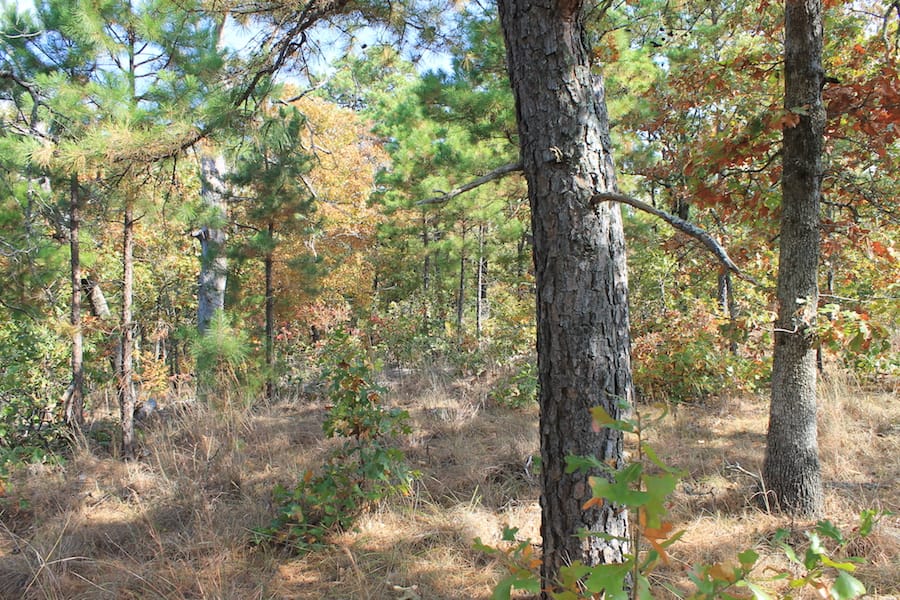 Indian Ridge – Phase III Tract 117 photo 10