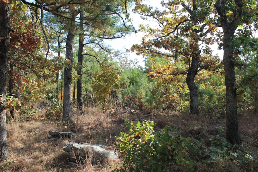 Indian Ridge – Phase III Tract 117 photo 11