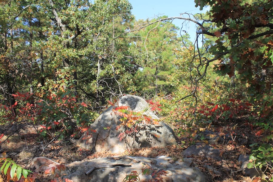 Indian Ridge – Phase III Tract 117 photo 15