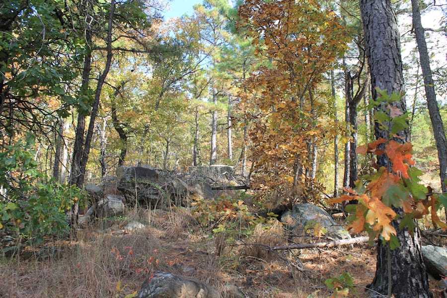 Indian Ridge – Phase III Tract 120 photo 3
