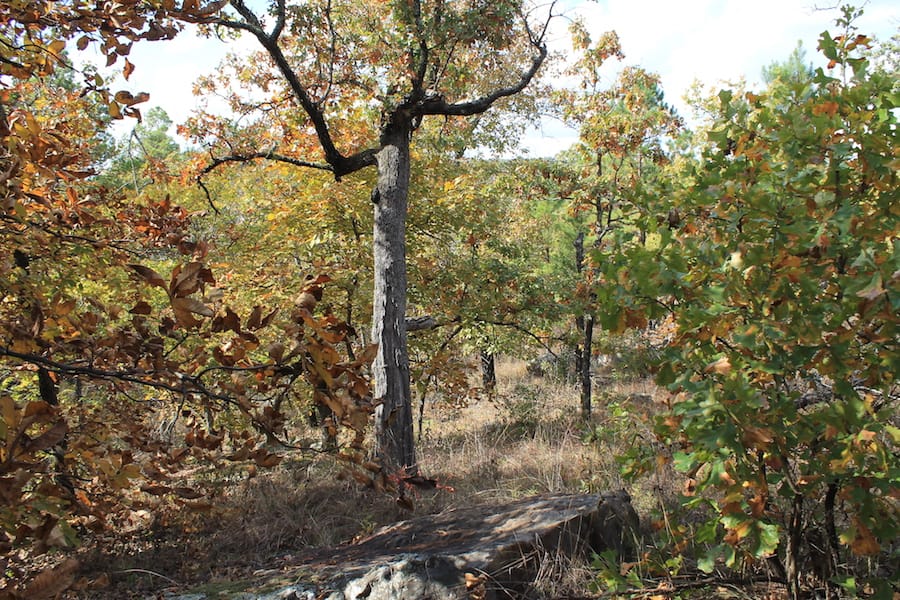 Indian Ridge – Phase III Tract 120 photo 4