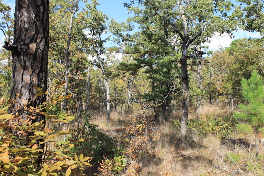 Indian Ridge – Phase III Tract 120 photo 5