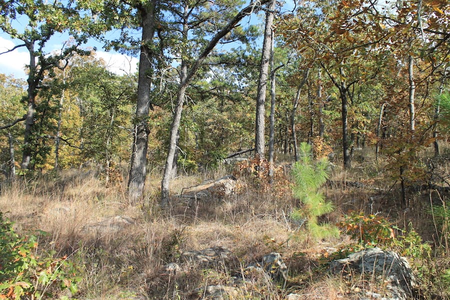 Indian Ridge – Phase III Tract 120 photo 7