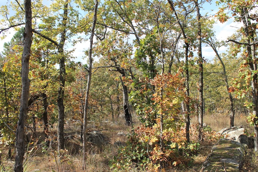 Indian Ridge – Phase III Tract 120 photo 8