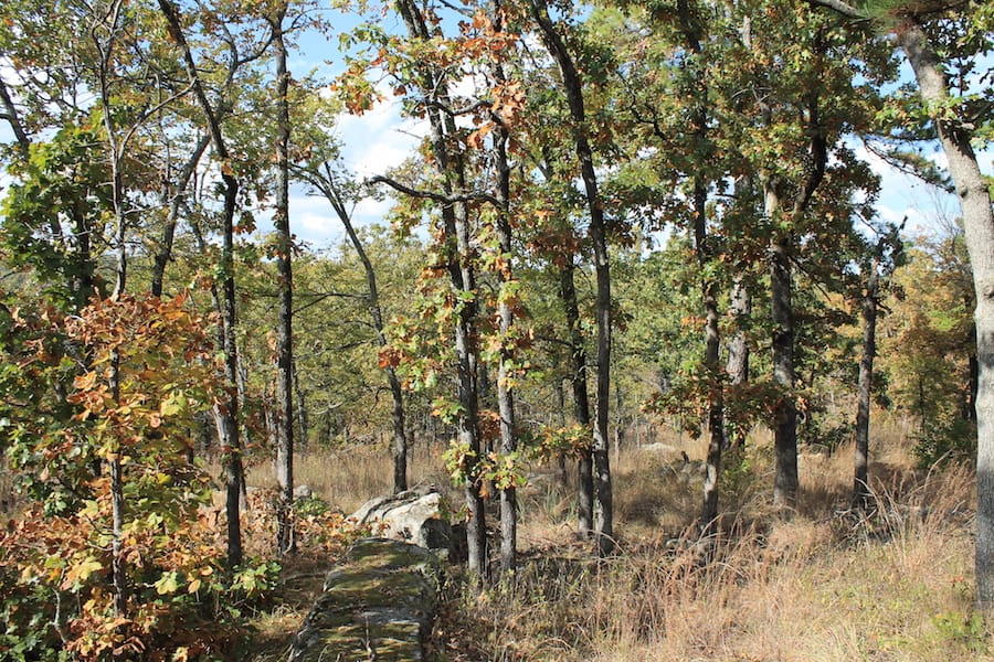 Indian Ridge – Phase III Tract 120 photo 9