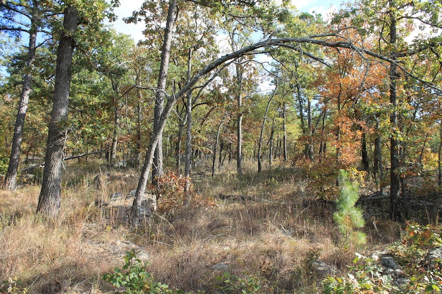 Indian Ridge – Phase III Tract 120 photo 10