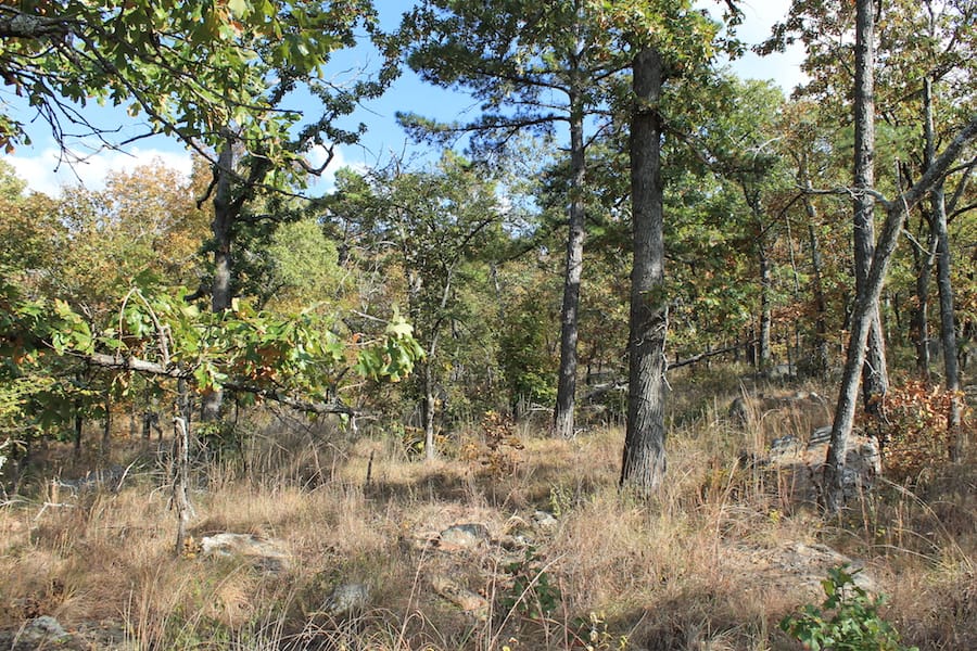 Indian Ridge – Phase III Tract 120 photo 11