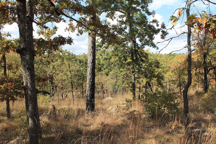 Indian Ridge – Phase III Tract 120 photo 12