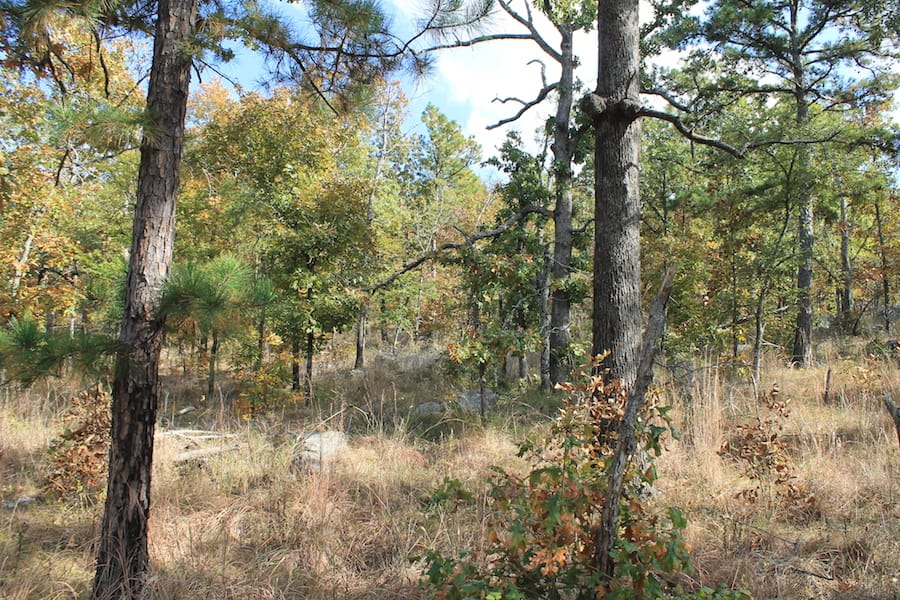 Indian Ridge – Phase III Tract 120 photo 13