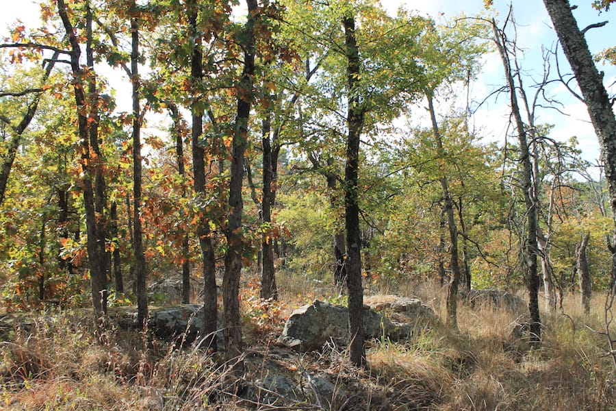 Indian Ridge – Phase III Tract 120 photo 14