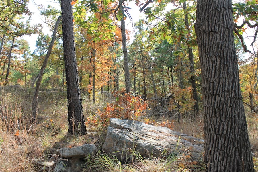 Indian Ridge – Phase III Tract 120 photo 15