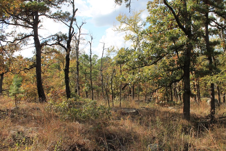 Indian Ridge – Phase III Tract 120 photo 2