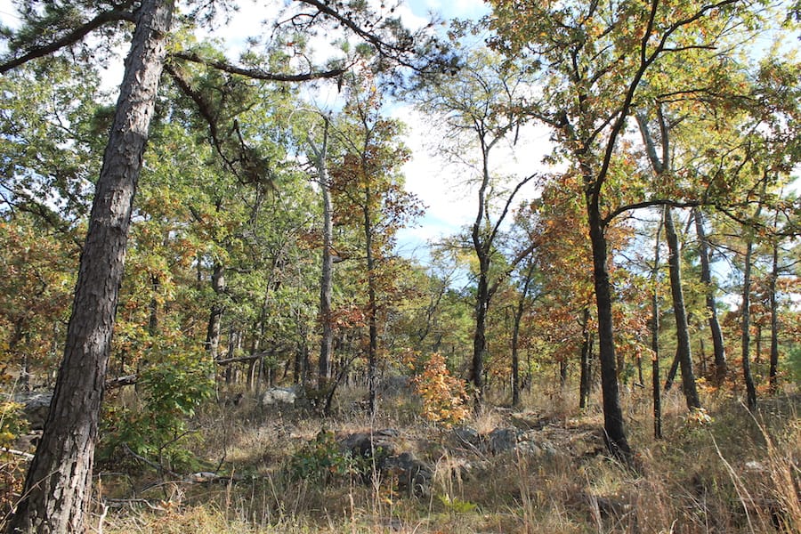 Indian Ridge – Phase III Tract 120 photo 16