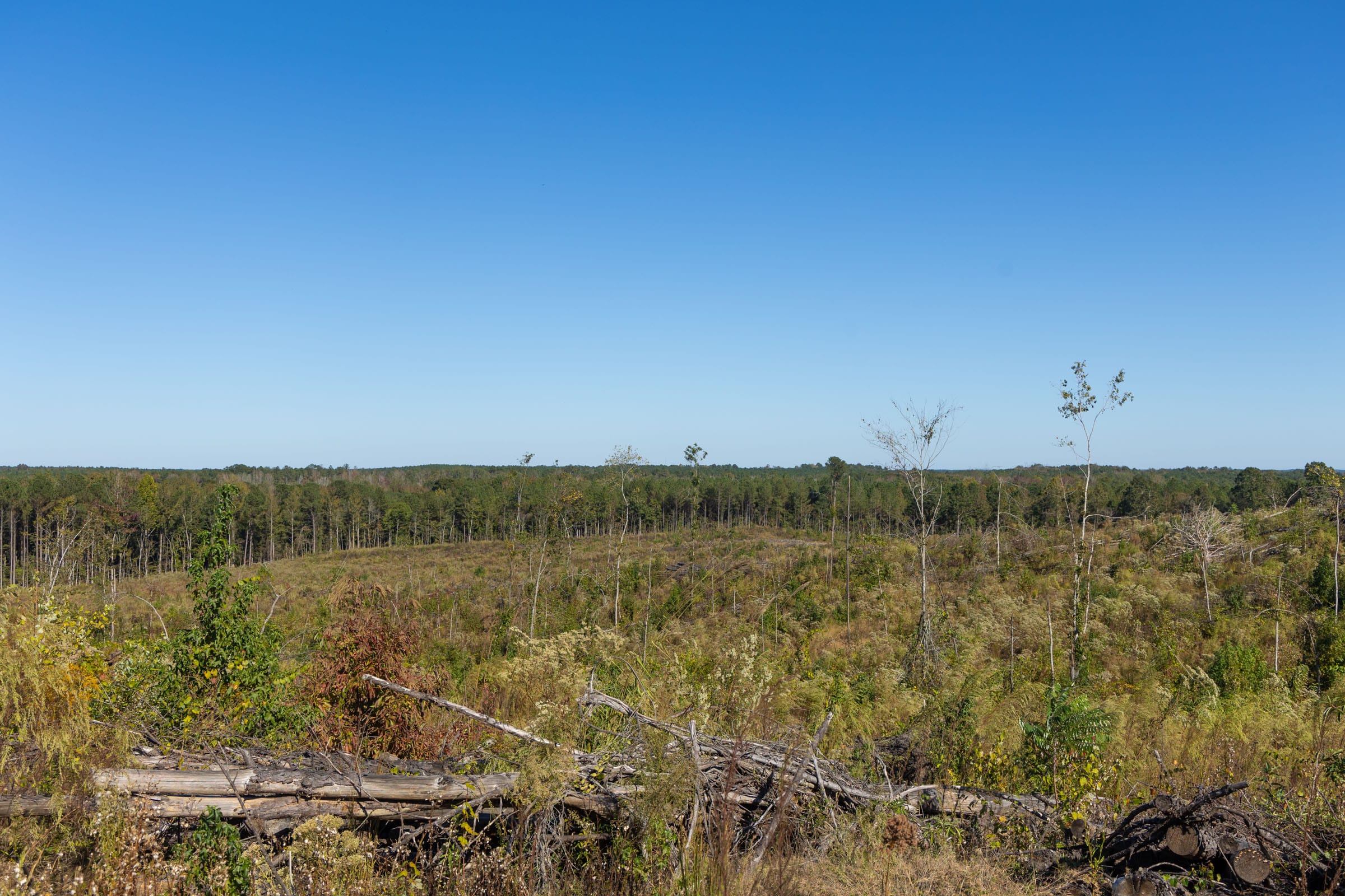 Meyer’s Ridge Tract 25 photo 16