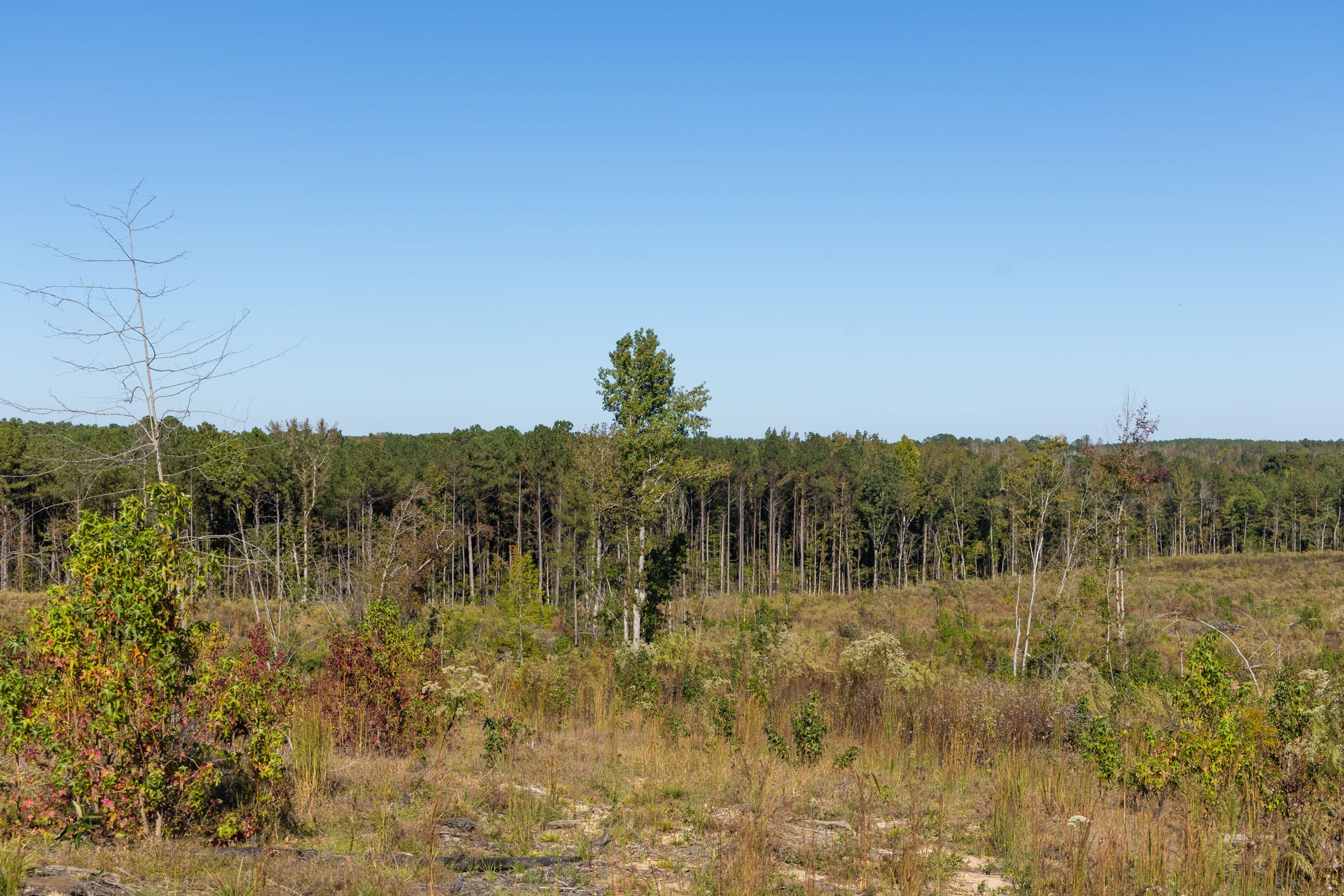 Meyer’s Ridge Tract 25 photo 13
