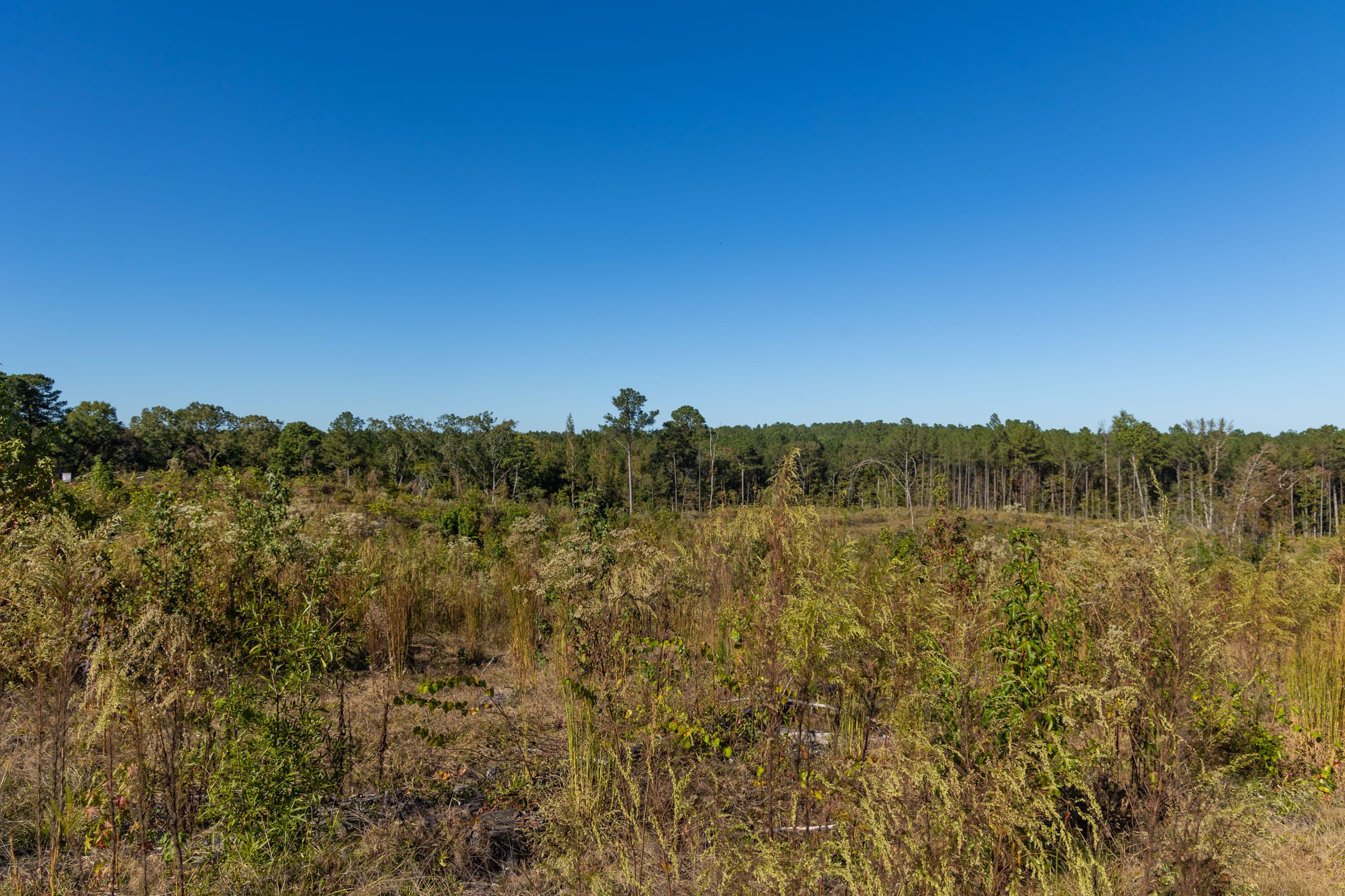Meyer’s Ridge Tract 25 photo 11