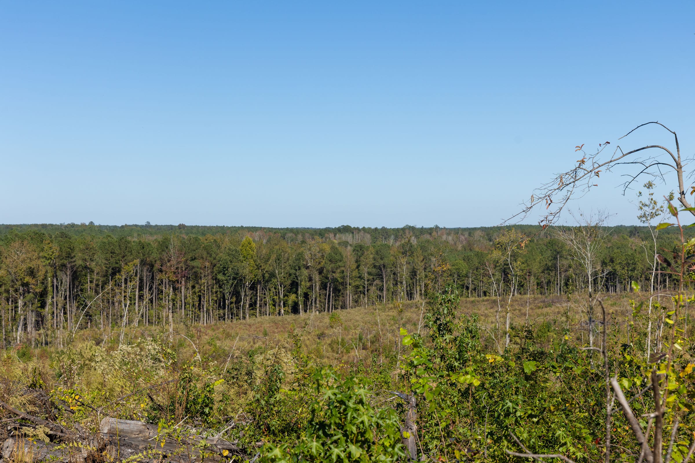 Meyer’s Ridge Tract 25 photo 10